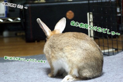choco良い物見っけ