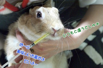 chocoいつもと違う・・・