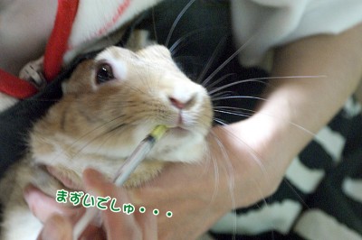 choco飲んだけど不味い