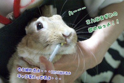 choco飲めねぇよ