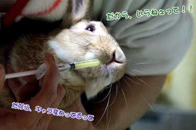chocoだから飲めねぇって