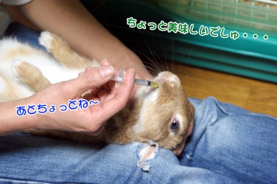 choco甘い?