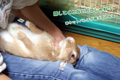 choco離してくれない?