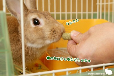 匂いは・・・
