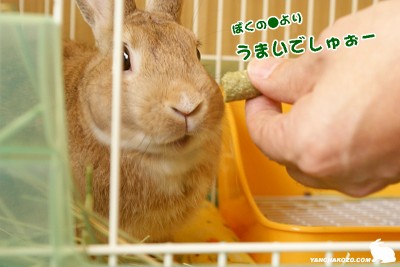 ●よりうまい
