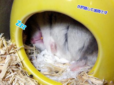 GOOさん歯見えてます