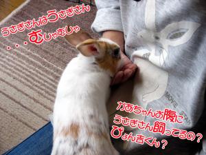 purinaomuke01.jpg