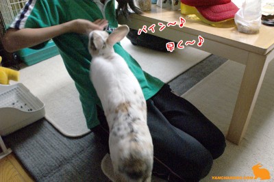 パイン♪