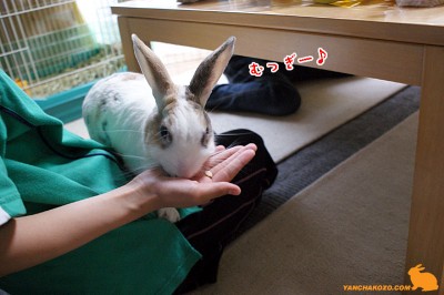 むっぎ～♪