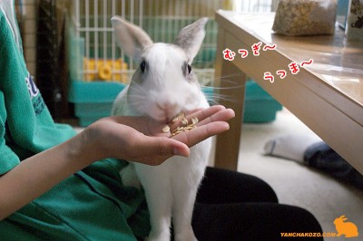むっぎ～♪うっま～♪