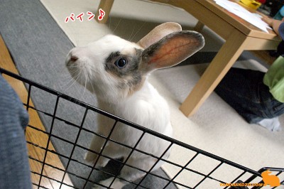 むっぎ～♪おかわり