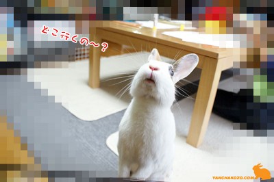 どこ行くの？