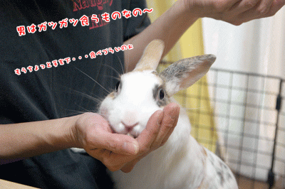 ぷりん男はガツガツ