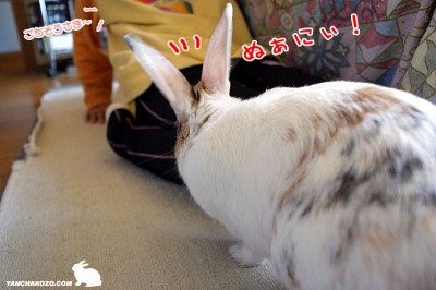 ぷりんぬぁにぃ! ぷりんぬぁにぃ!
