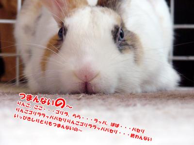 ぷりんつまんないの
