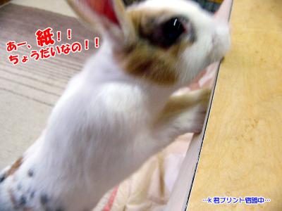ぷりんつまんないの02