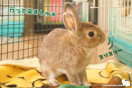 お出掛け前は