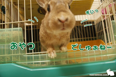乗り出してみた