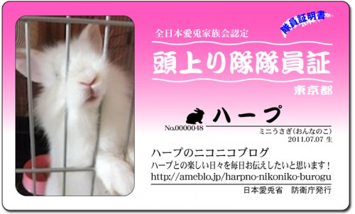 ハープ