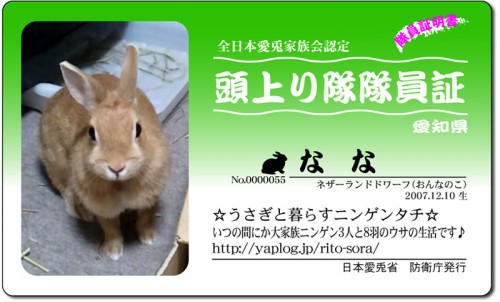 頭上がり隊-なな