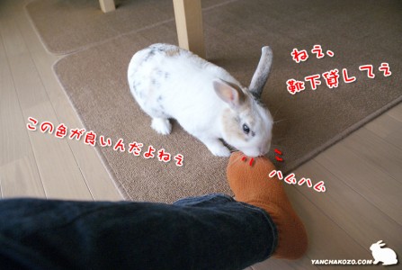 これ貸して