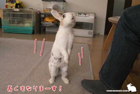 長くもなる