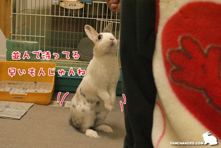 並んで待ってる