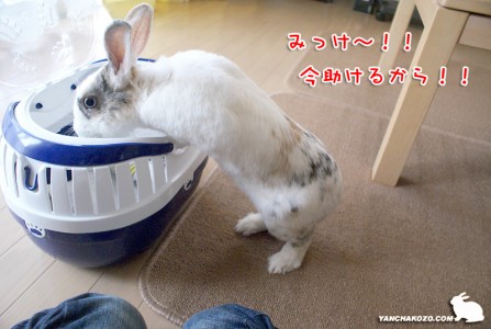 みっけたぁ