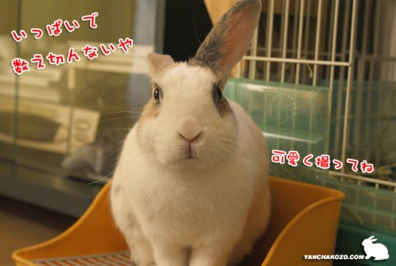 数え切れません