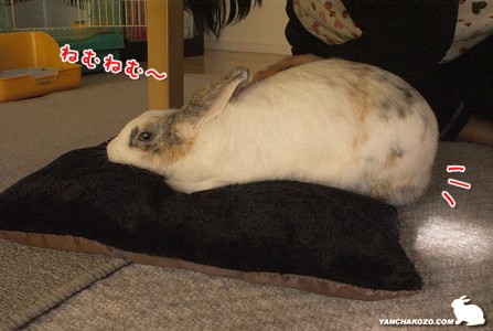 はみ出てます