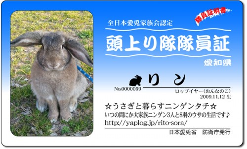 頭上がり隊-りん