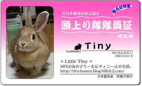 頭上り隊-Tiny 頭上り隊-Tiny