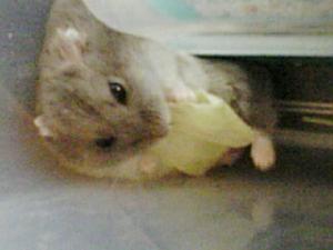070827_135001.jpg