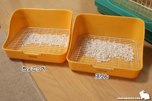 2つのトイレ
