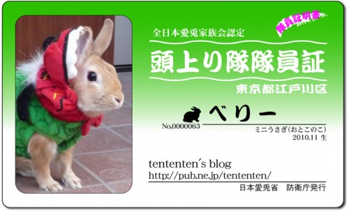 頭上がり隊-ベリー