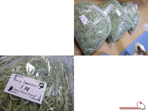 ネイチャーブリード牧草