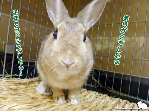 来年もヨロシク～