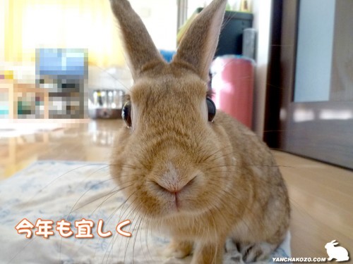 ことよろ