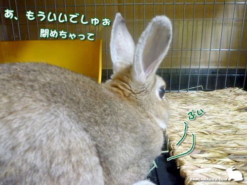 もういいでしゅ