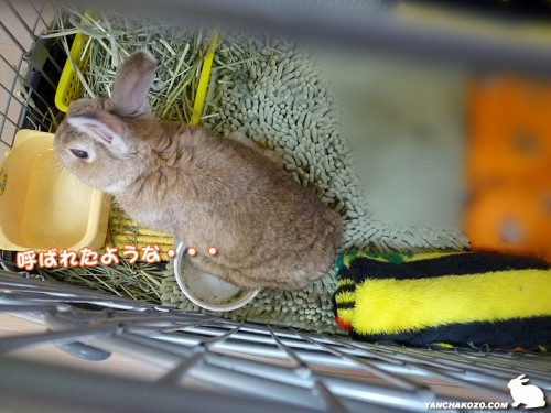 呼ばれた気がした