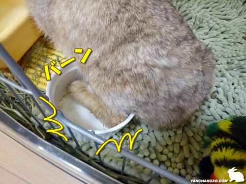 足が入りました!
