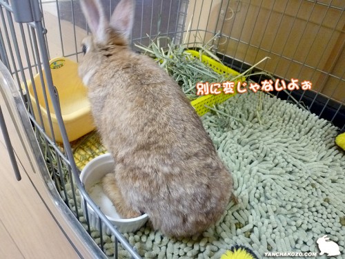 気にしない