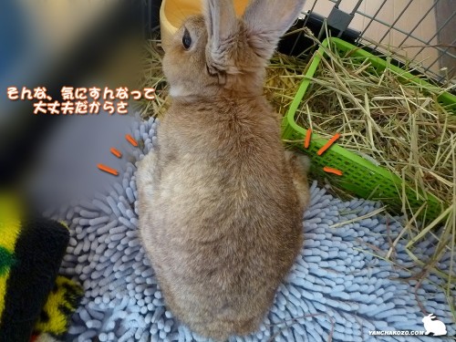 両足投げ出し