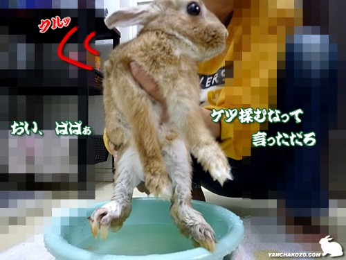 お尻も揉み洗い