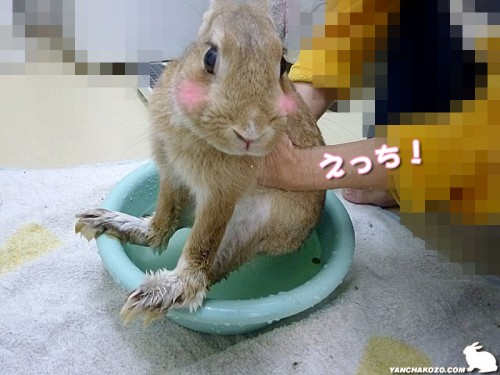 お尻温め