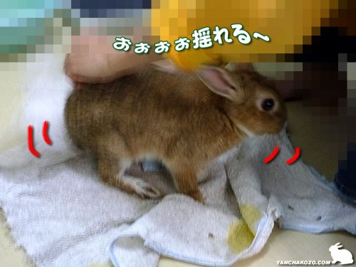 フキフキ～