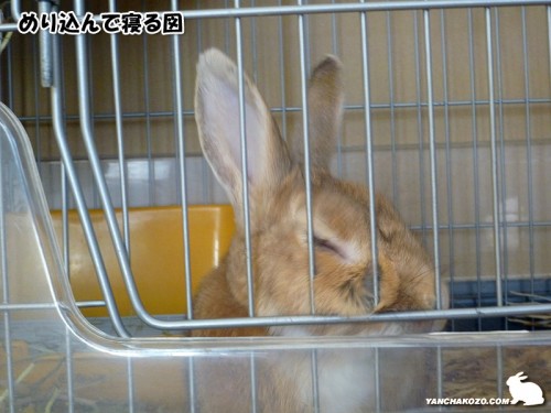 めり込んで寝る