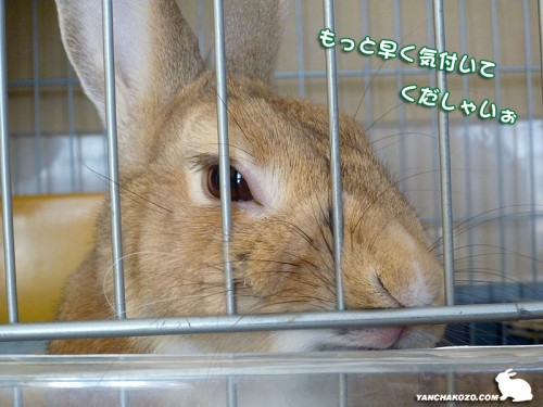 早く気が付け！