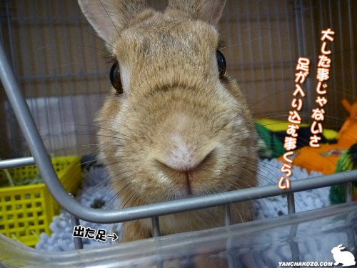 大した事じゃない