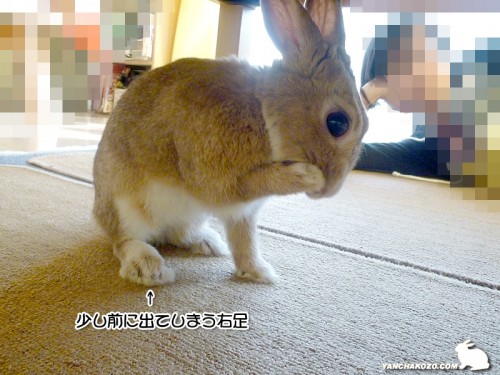 出ちゃうんでしゅぉ